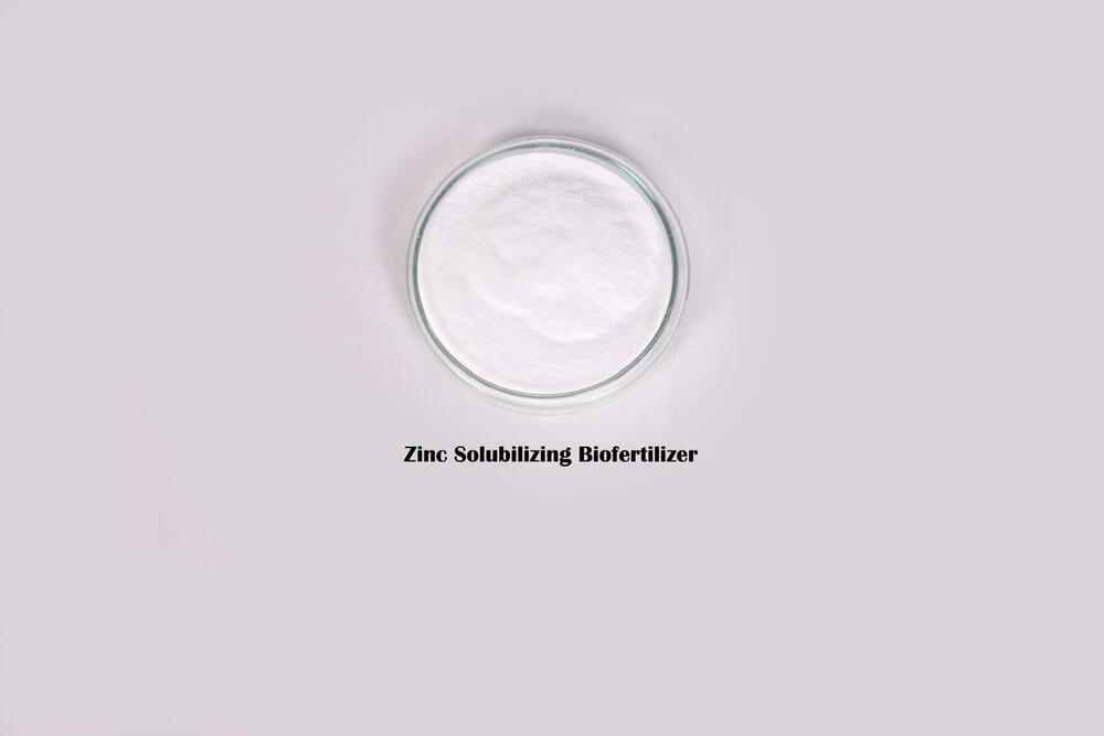 Zinc Solubiling Biofertilizer