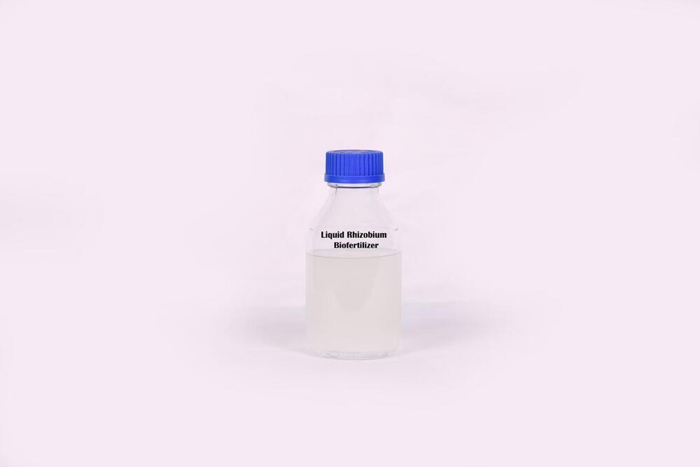Liquid Rhizobium Biofertilizer