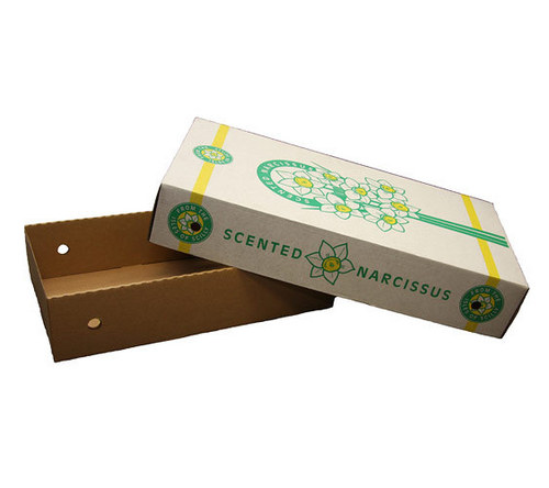 Customised Printed Packaging Box