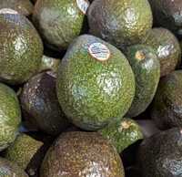 Fresh Avocado - Hass Variety, Medium To Large, Dark Green To Purplish | Organic, Thick Textured Skin, Large Single Seed, Ready To Eat, Nutrient-rich