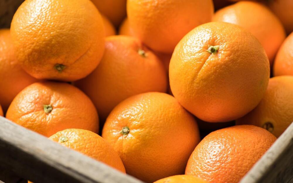 Fresh Orange By Meme Group Company Ltd