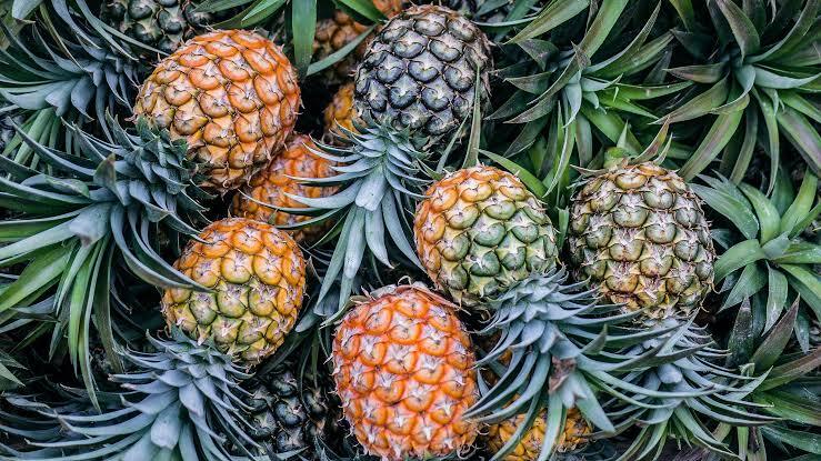 ताजा Pineapple -