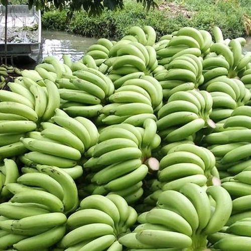 Raw Banana