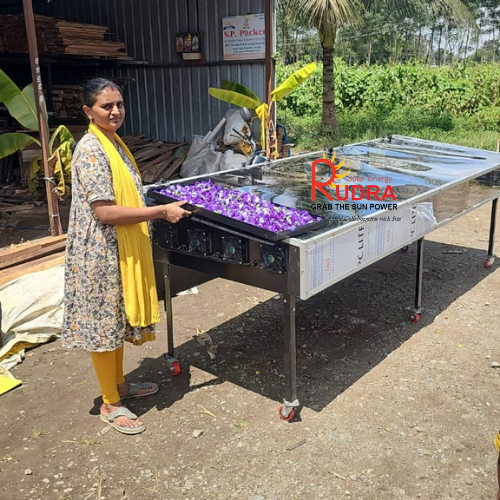 Solar Dryer For Meat 