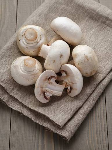 Fresh Mushroom - Aroma: Rich
