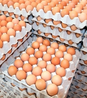 Pure Egg