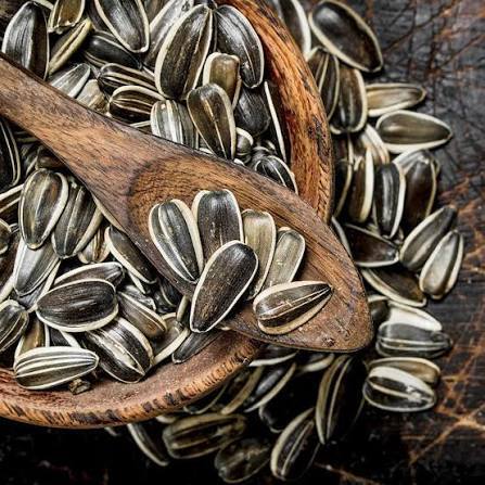 Pumpkin Seeds