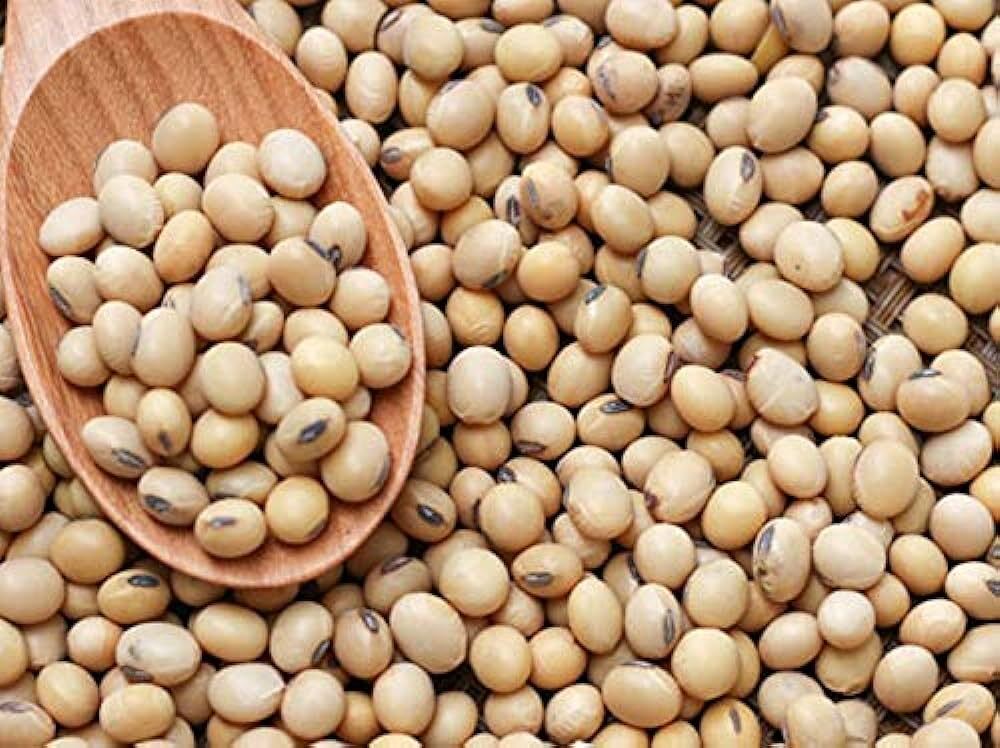 Fresh Soyabean