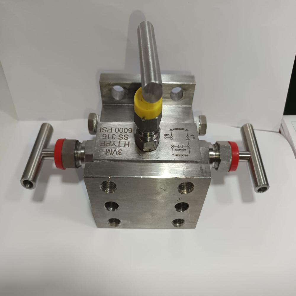 Stainless Steel Manifold Valve