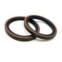 Piston Seals