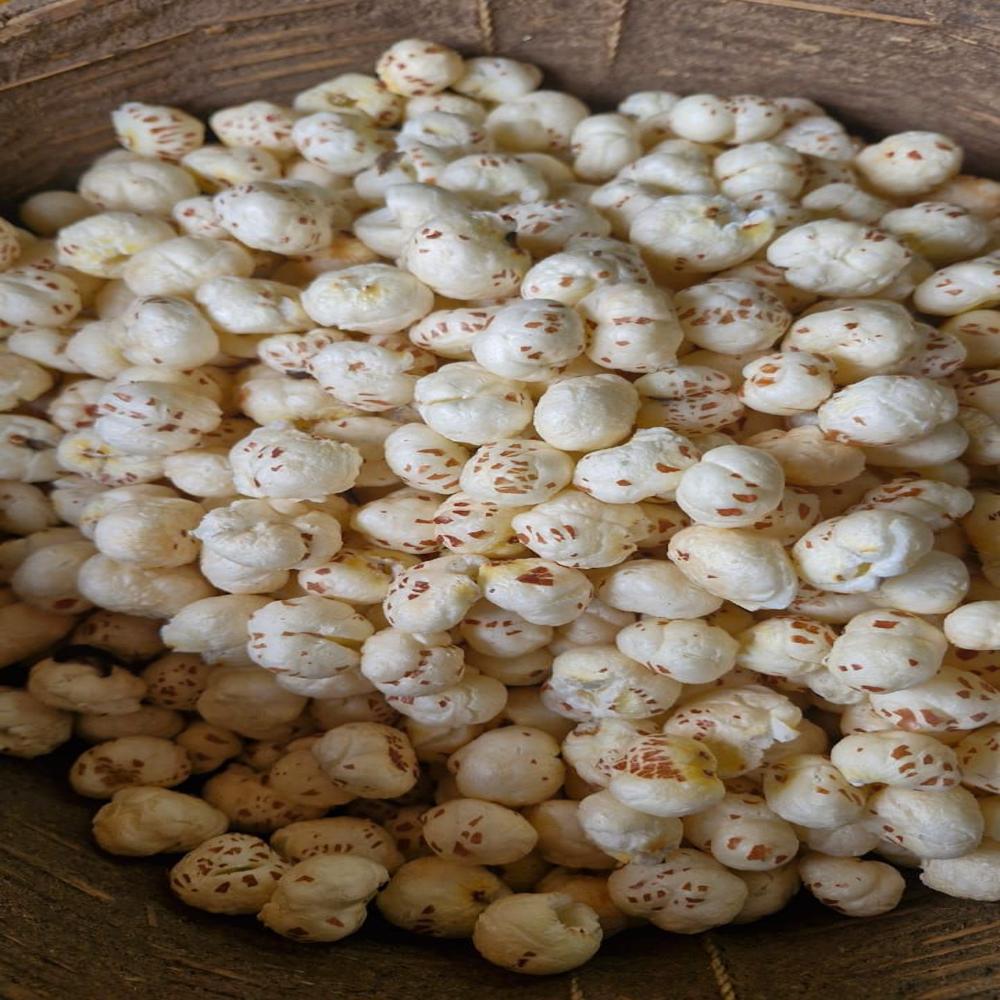 raw makhana