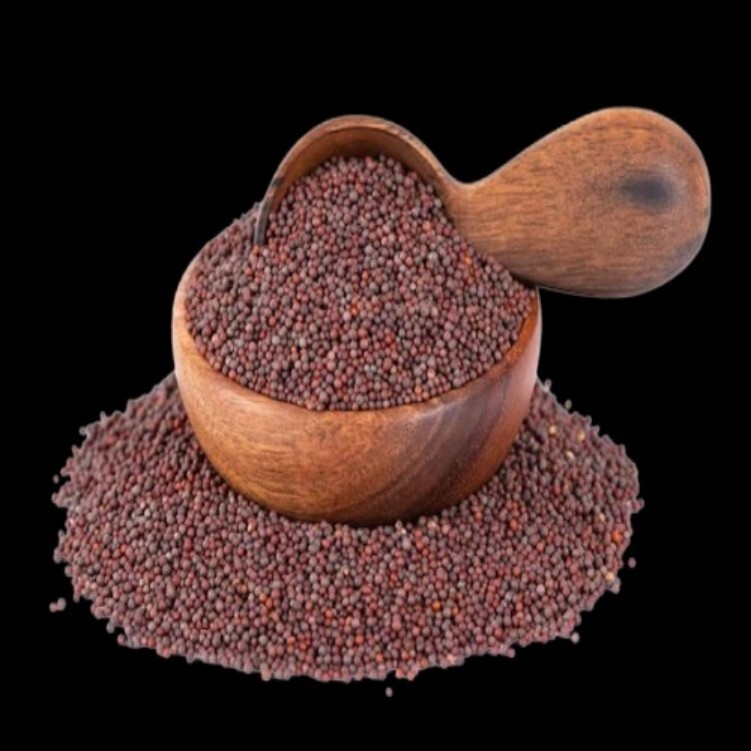 Fresh Mustard Seeds