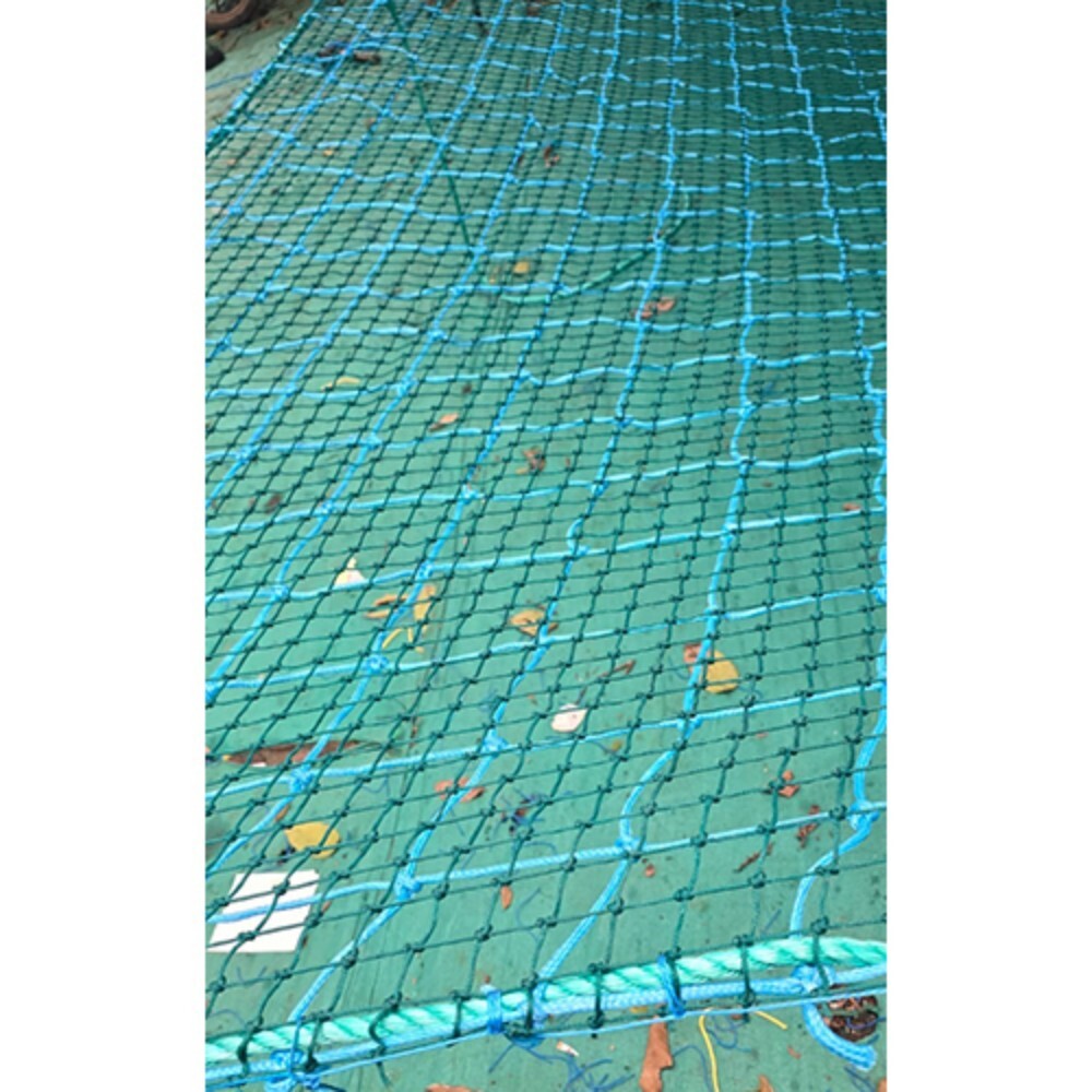 Army Pasing Net