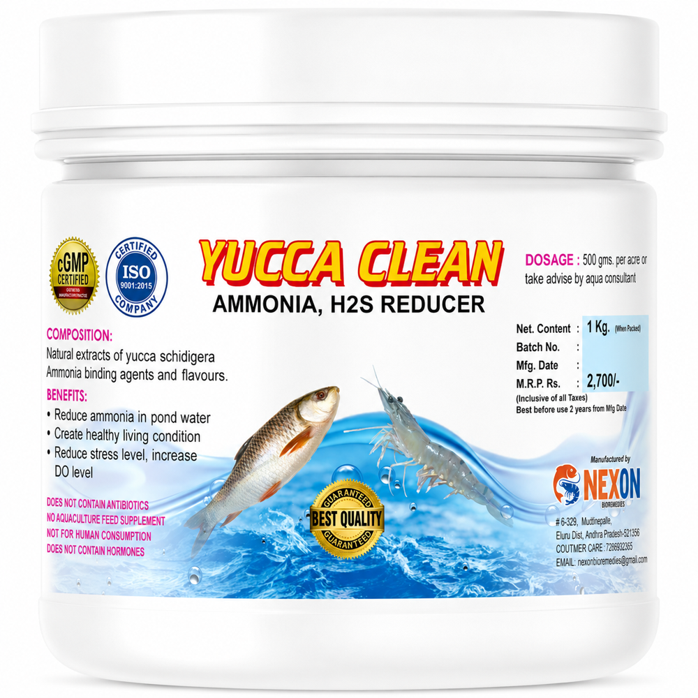Yucca Clean
