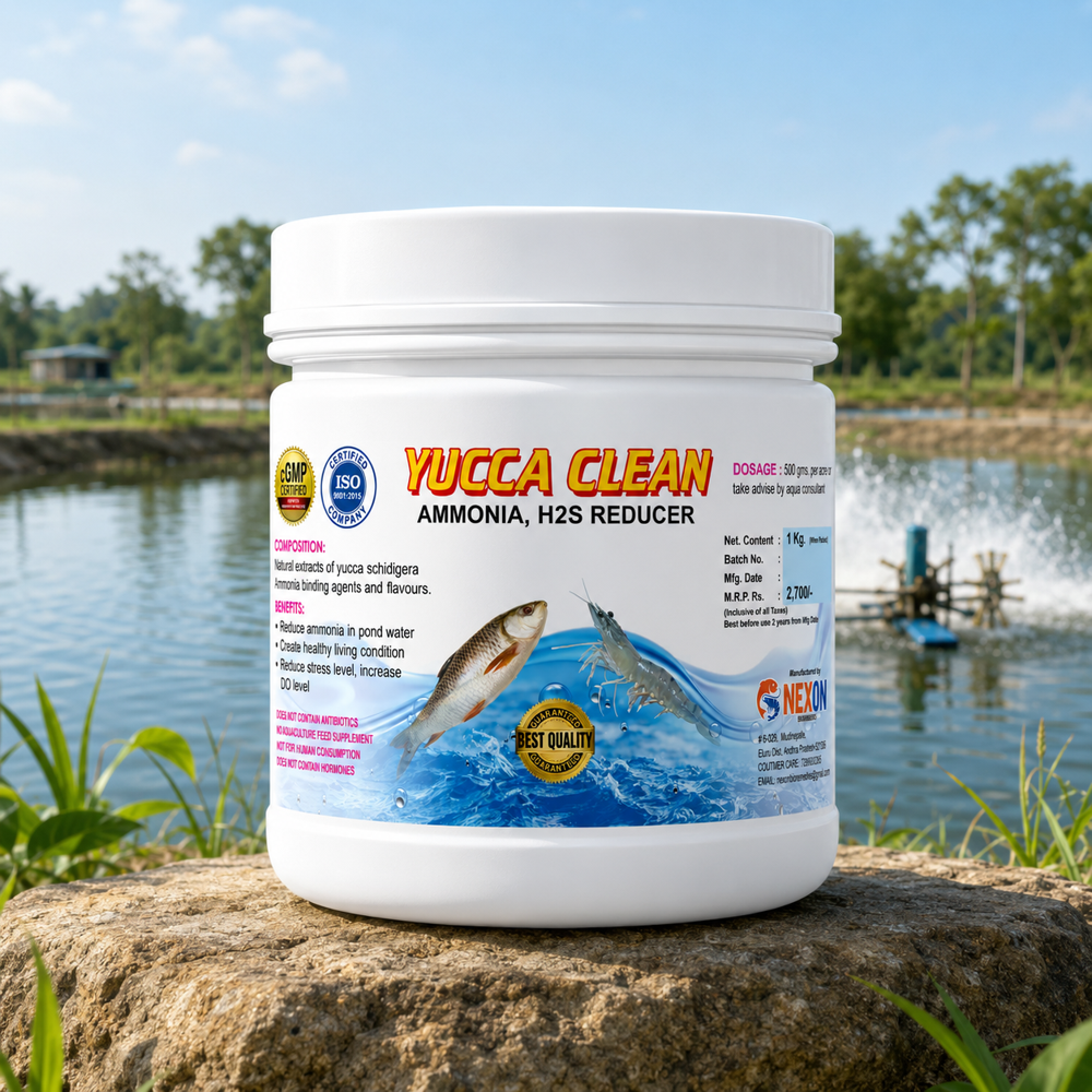 Yucca Clean