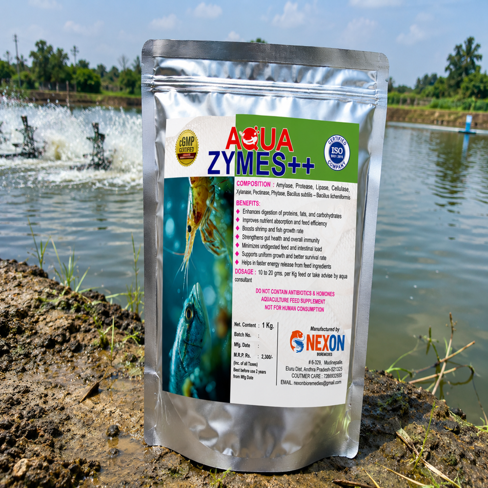 Feed Supplement
