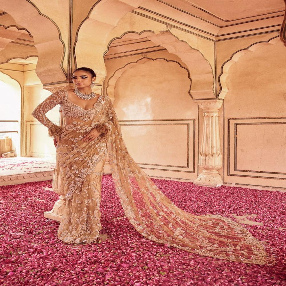 Premium Exclusive Designer Saree Collection