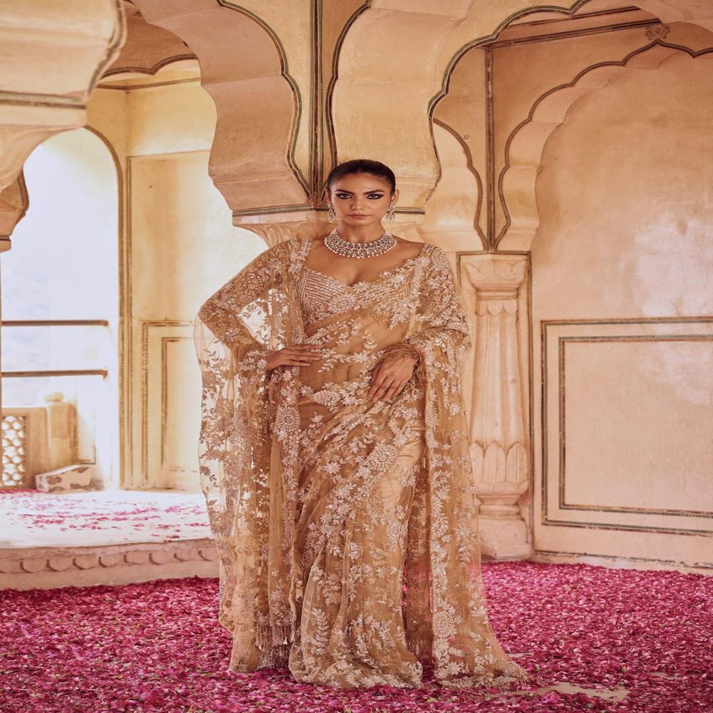 Premium Exclusive Designer Saree Collection