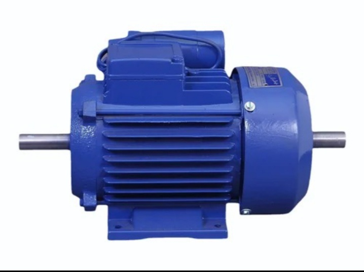 Three Phase Electric Induction Motor