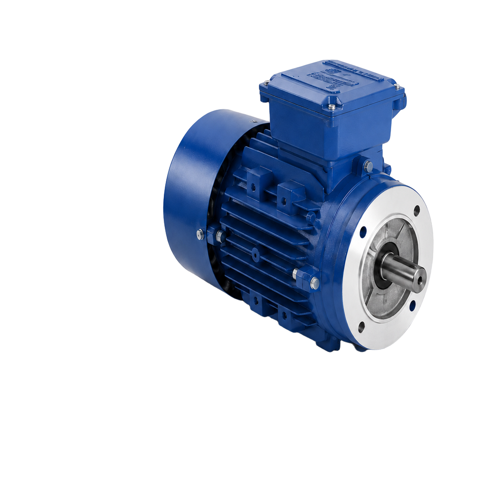 Three Phase TEFC Motor