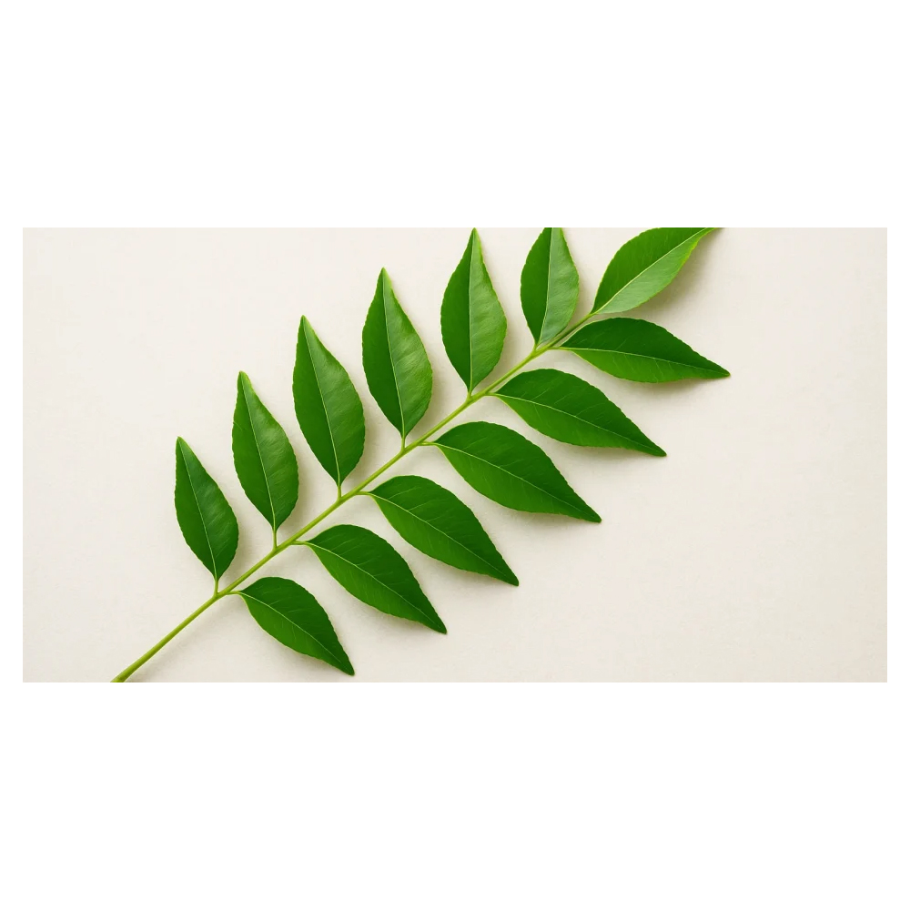 Curry leaves