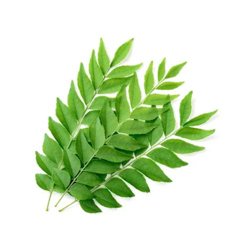 Curry Leaves - Shelf Life: 24 Months