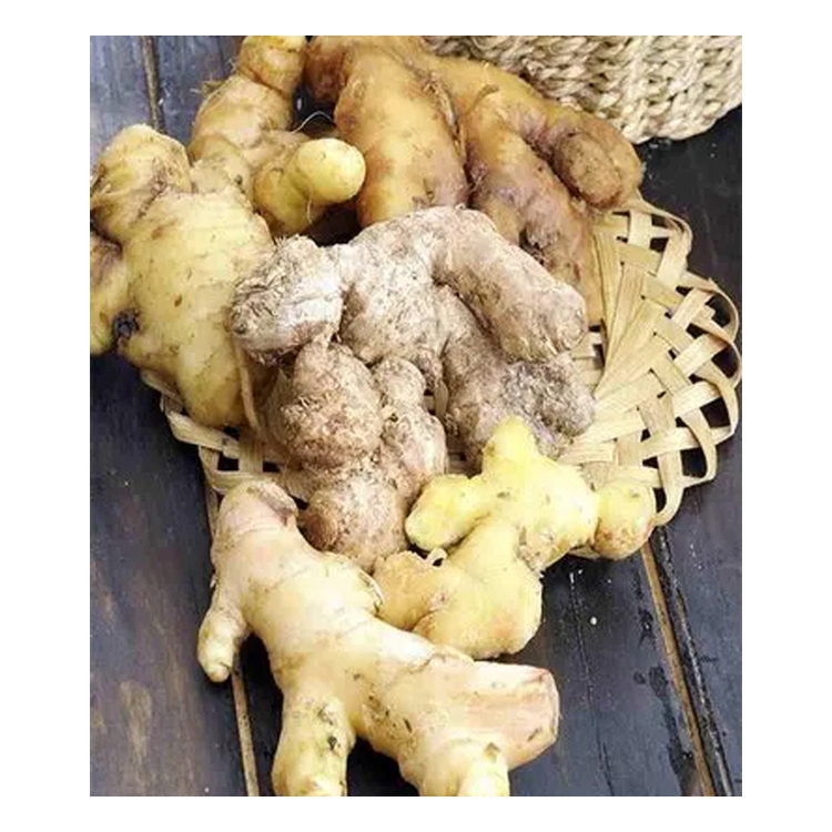 Ginger Whole - Shelf Life: 12 Months
