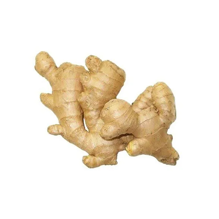 Ginger whole