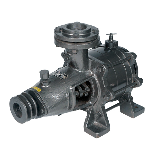 Cf Multistage Pump