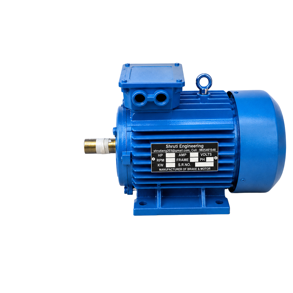 Electric Motor Manufacturer