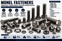 Monel Fastener