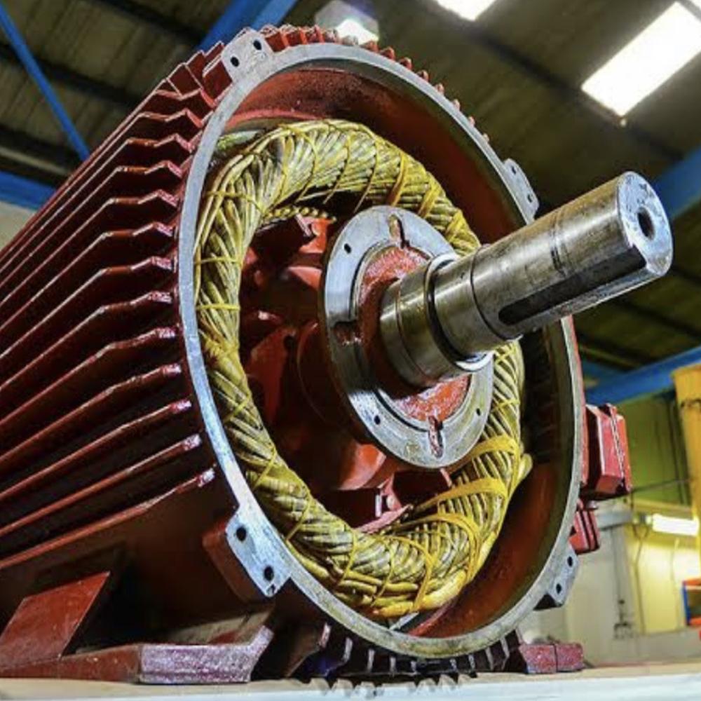 Industrial motor