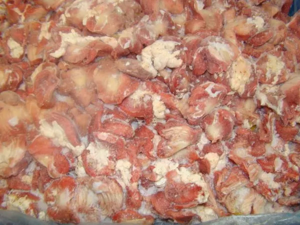 Fresh Gizzard Frozen Chicken