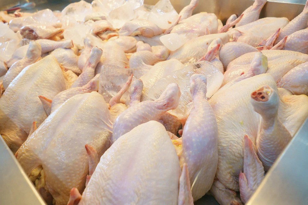 Frozen Poultry Chicken