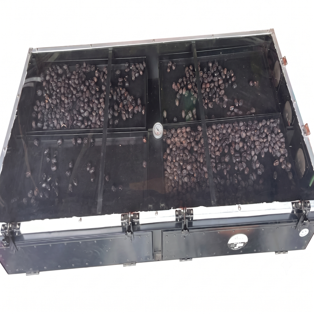 Solar Dryer For Red Chilli