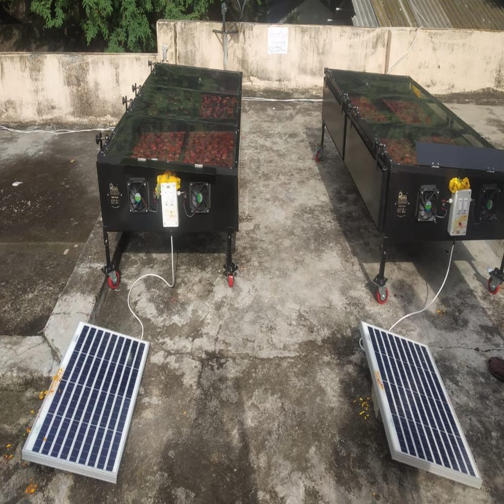 Solar Dryer For Red Chilli