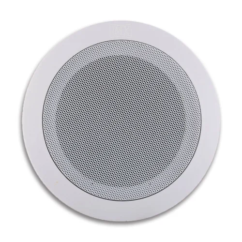 Ceiling Network Speaker