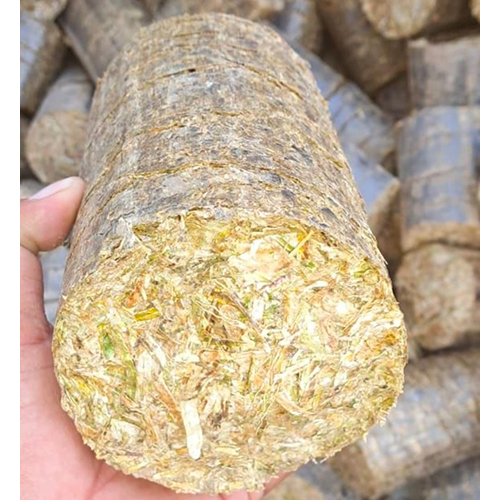 Mustard Briquettes
