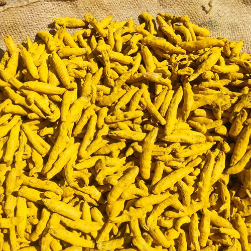 Turmeric Finger - Solid Form Spice | 100% Pure, Vibrant Yellow Color, Ideal For Culinary Use, Store In A Dry Place For Preservation