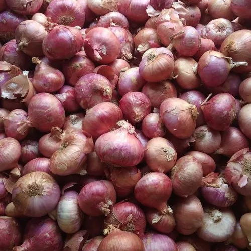 Red Onion - Size Range 5-10 Cm, Weight 50-100 G, Color Red | Round Shape, Moisture 85-90%, 2-3 Weeks Shelf Life, Ideal For Cooking, Salads, & Pickling