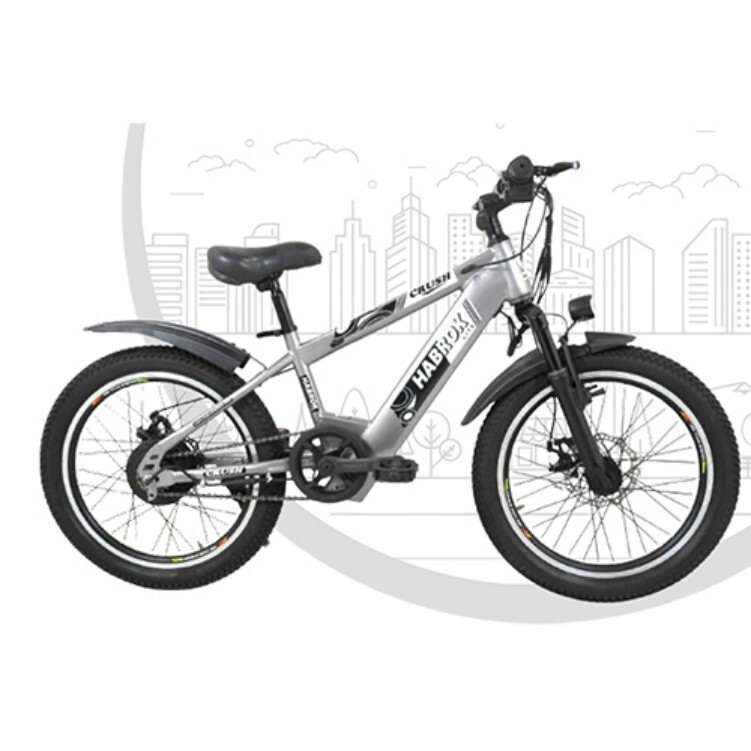 HBK-SE-20 Crush Electric Bike