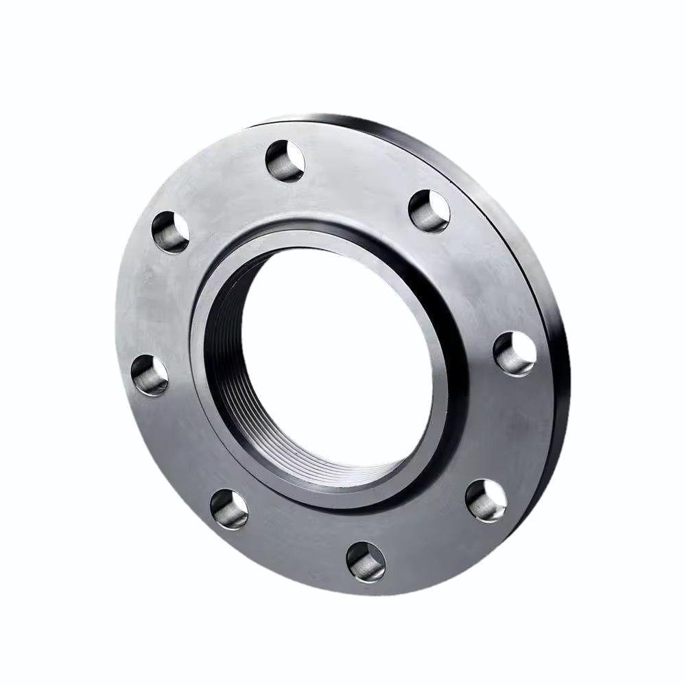 Hastelloy B4 Flanges