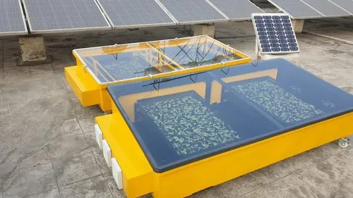 Solar Dryer