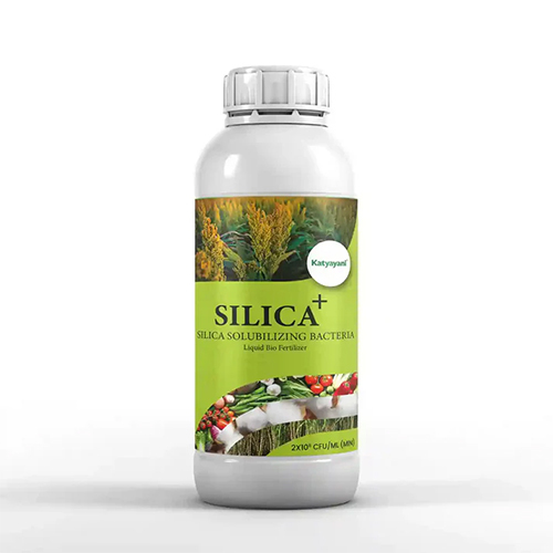 KATYAYANI SILICA + - SILICA SOLUBILIZING BACTERIA - LIQUID BIOFERTILIZER