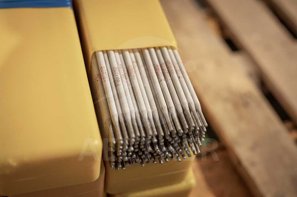  Hastelloy B2 Electrodes
