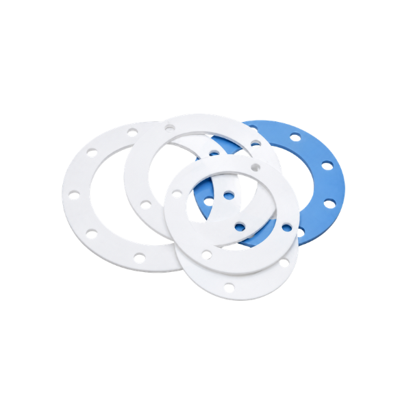 PTFE Gasket 