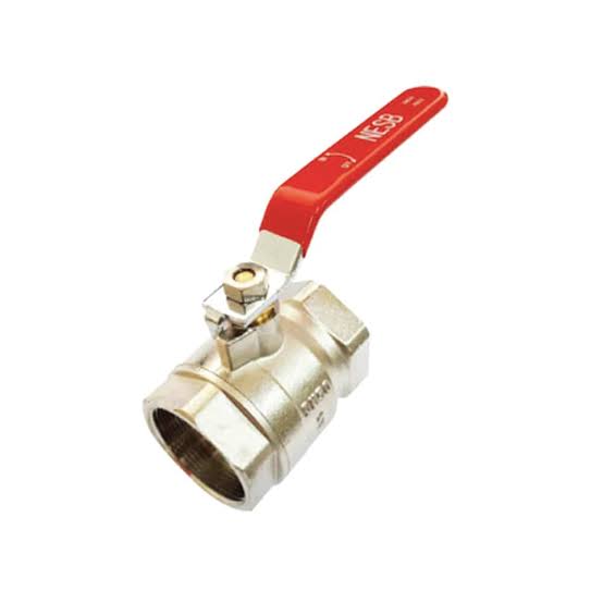 Hastelloy B2 Valves