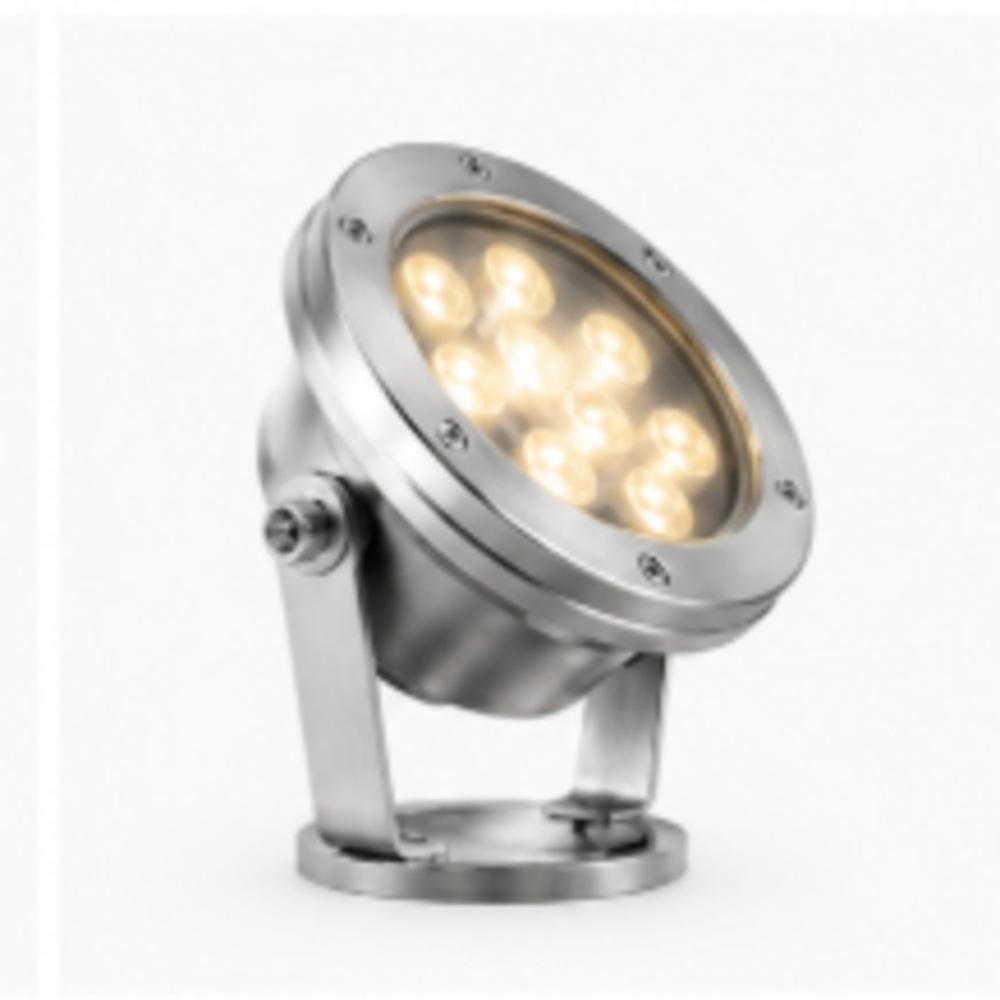 Underwater Spot Light (12W)