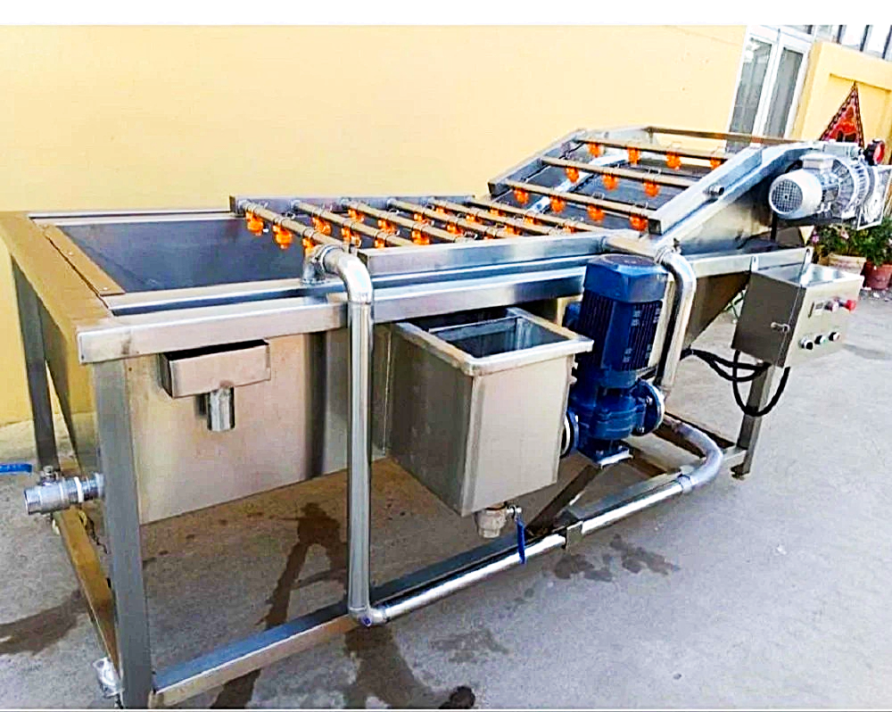Stainless Steel Fruit Washer