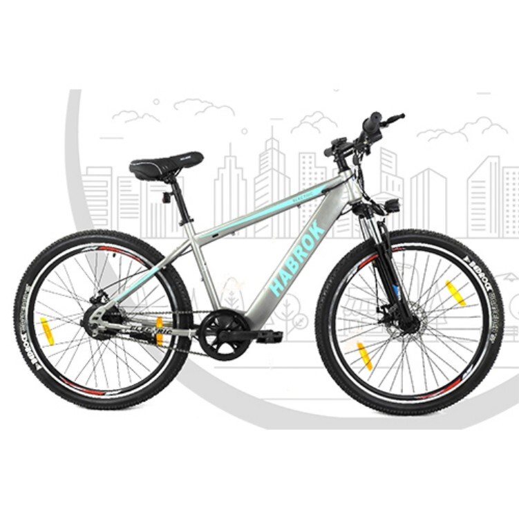 HBK-SE-01 Steel Electric Bike